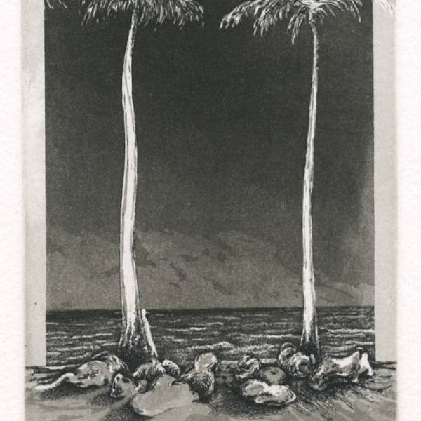 Les deux palmiers, 1981